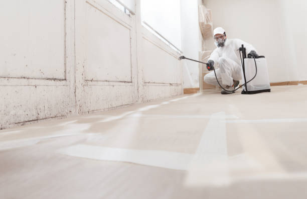 Black mold remediation team in Jarratt