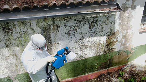 Mold Remediation service in Jarratt, Jarratt, VA